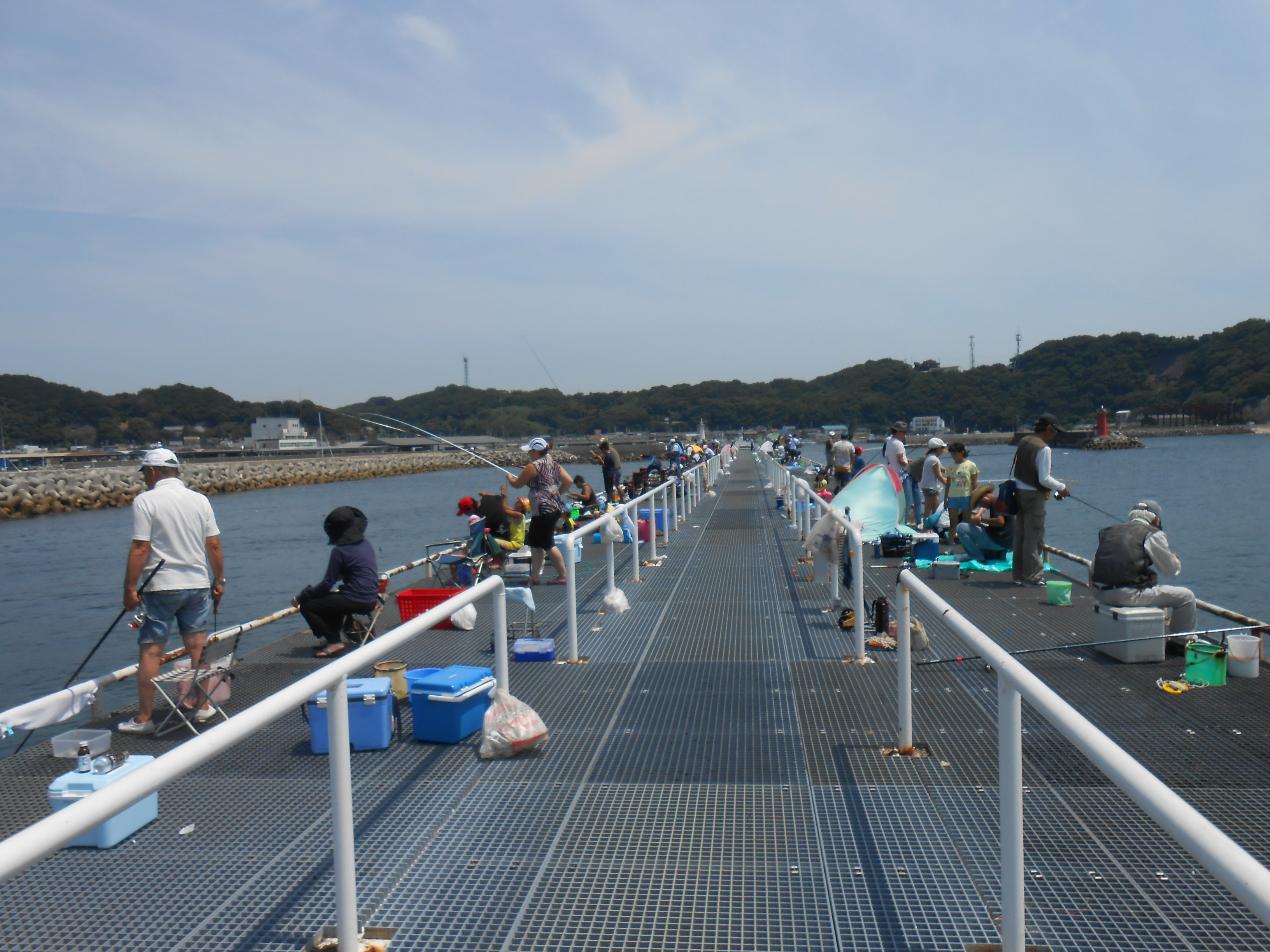 釣り 桟橋 豊浜 豊浜漁港の桟橋が釣人でいっぱいで入れなかったので、師崎港で釣ったら全然釣れませんでした。