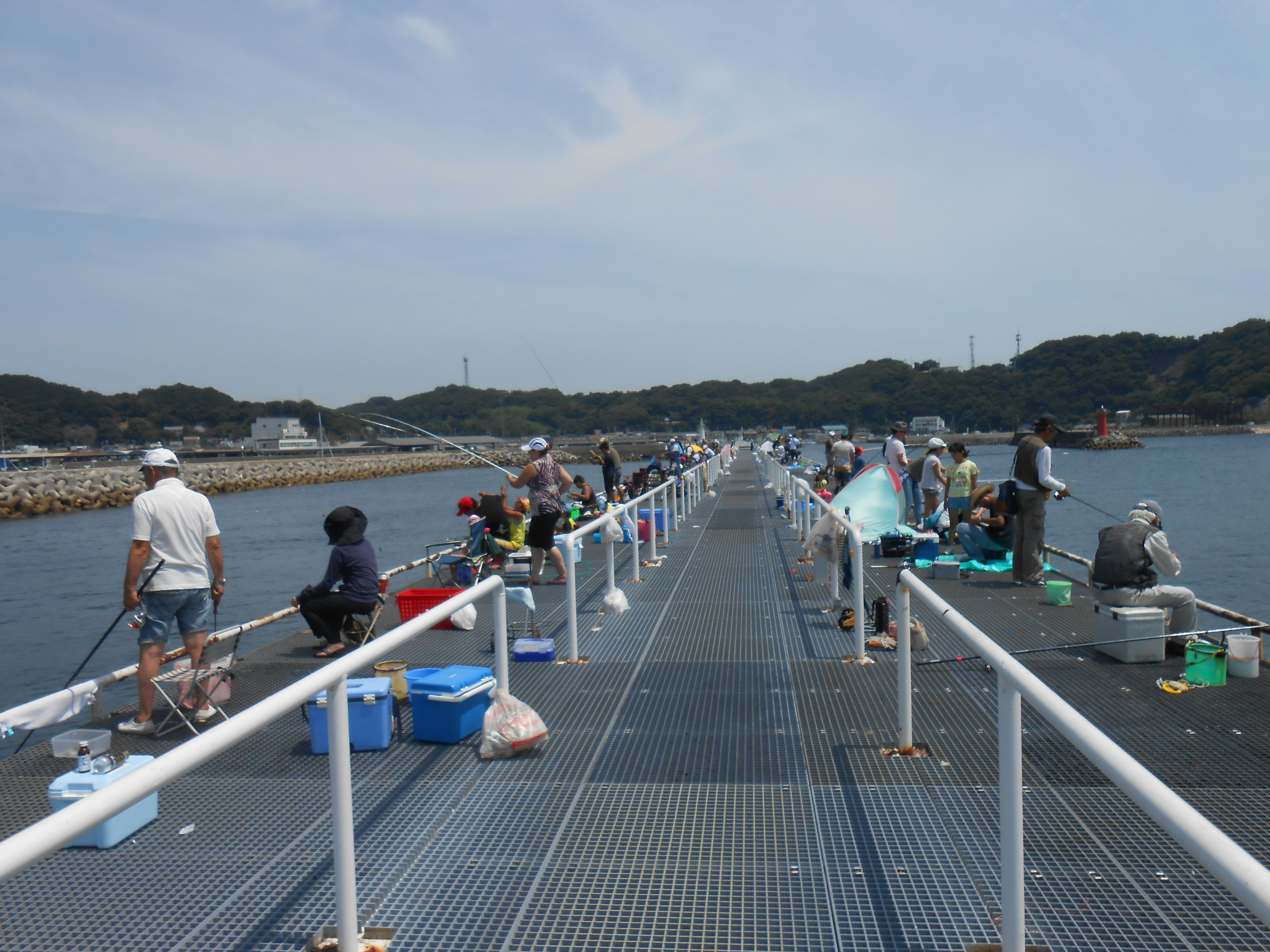 豊浜 釣り 桟橋