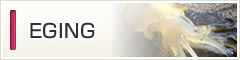 EGING