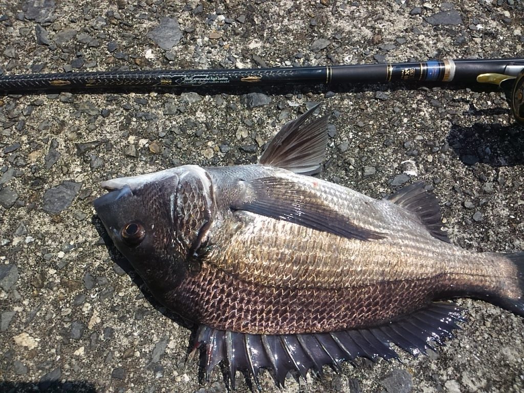 河角直樹様のレポート