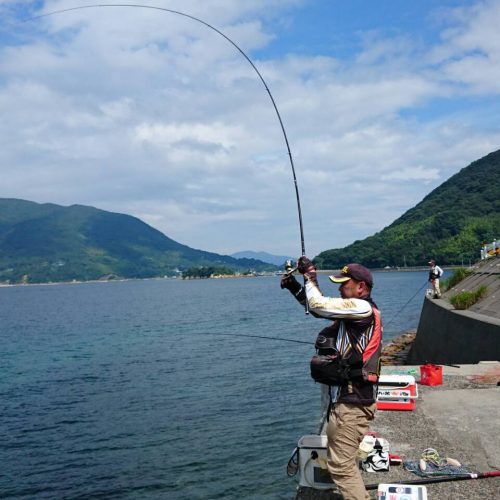 テスター河角直樹様のレポート