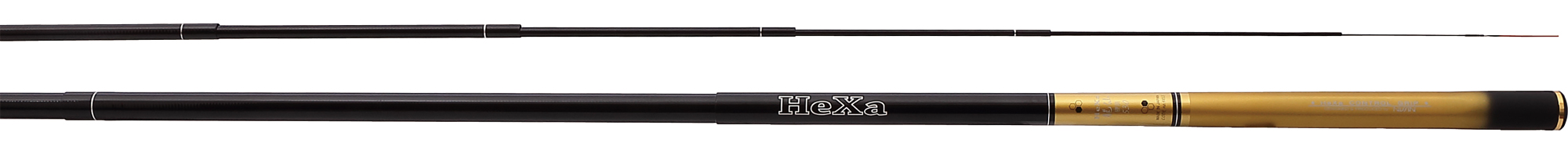 HEXA 龍仙