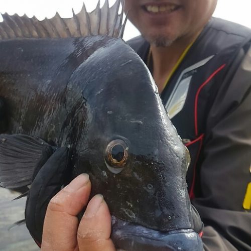 河角直樹様のレポート