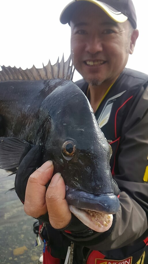 河角直樹様のレポート