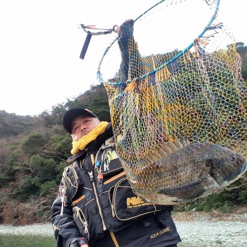 巨チヌ極道様のレポート