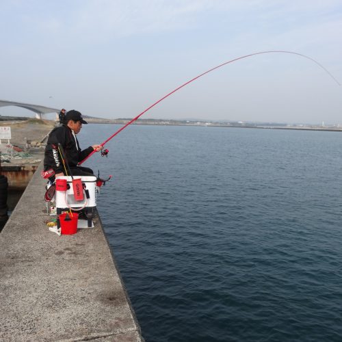 浜名湖遠征でチヌ釣り | (株)宇崎日新（NISSIN）| 磯・船・渓流などの