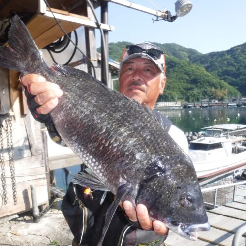 巨チヌ極道様のレポート