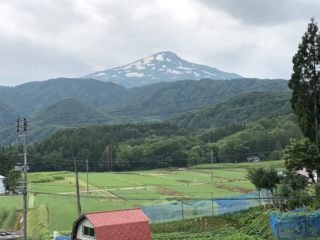 Ｔ&A 牧野克幸様のレポート