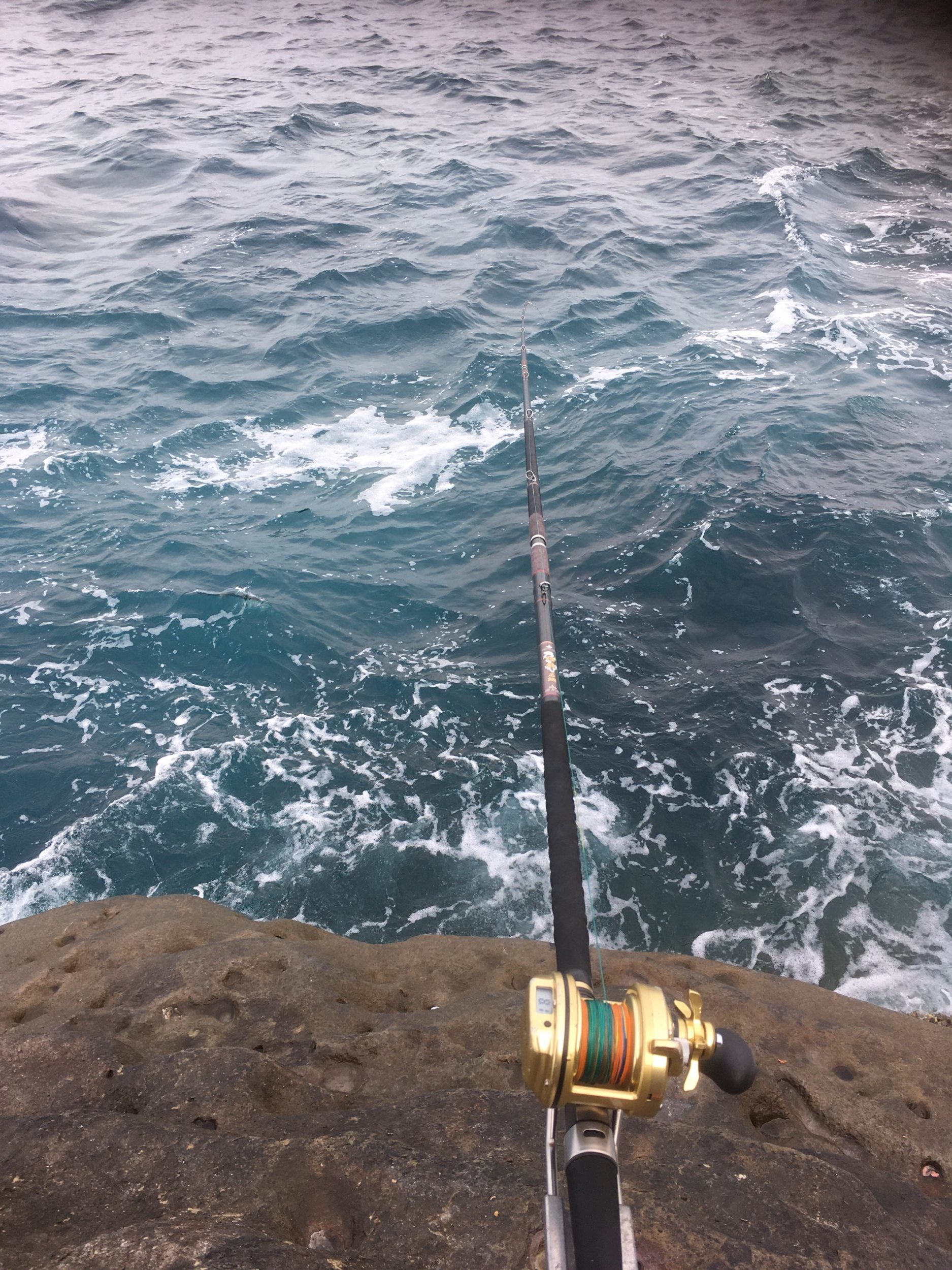 牟岐大島で底物初チャレンジ！！ | (株)宇崎日新（NISSIN）| 磯・船