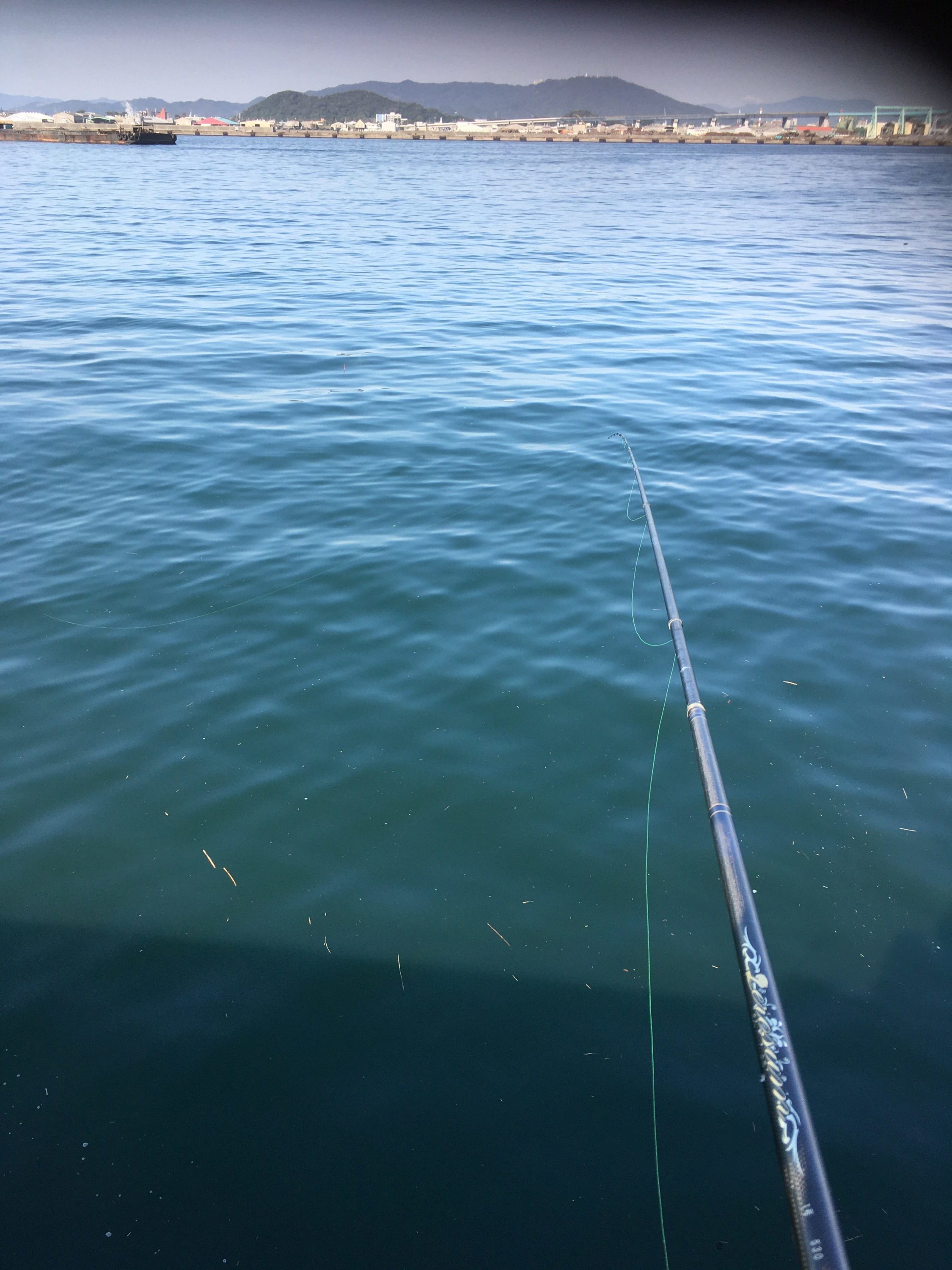 湾奥フッコ、チヌ乱獲ワンオフオリジナルロッド 湾奥フッコ、チヌ乱獲