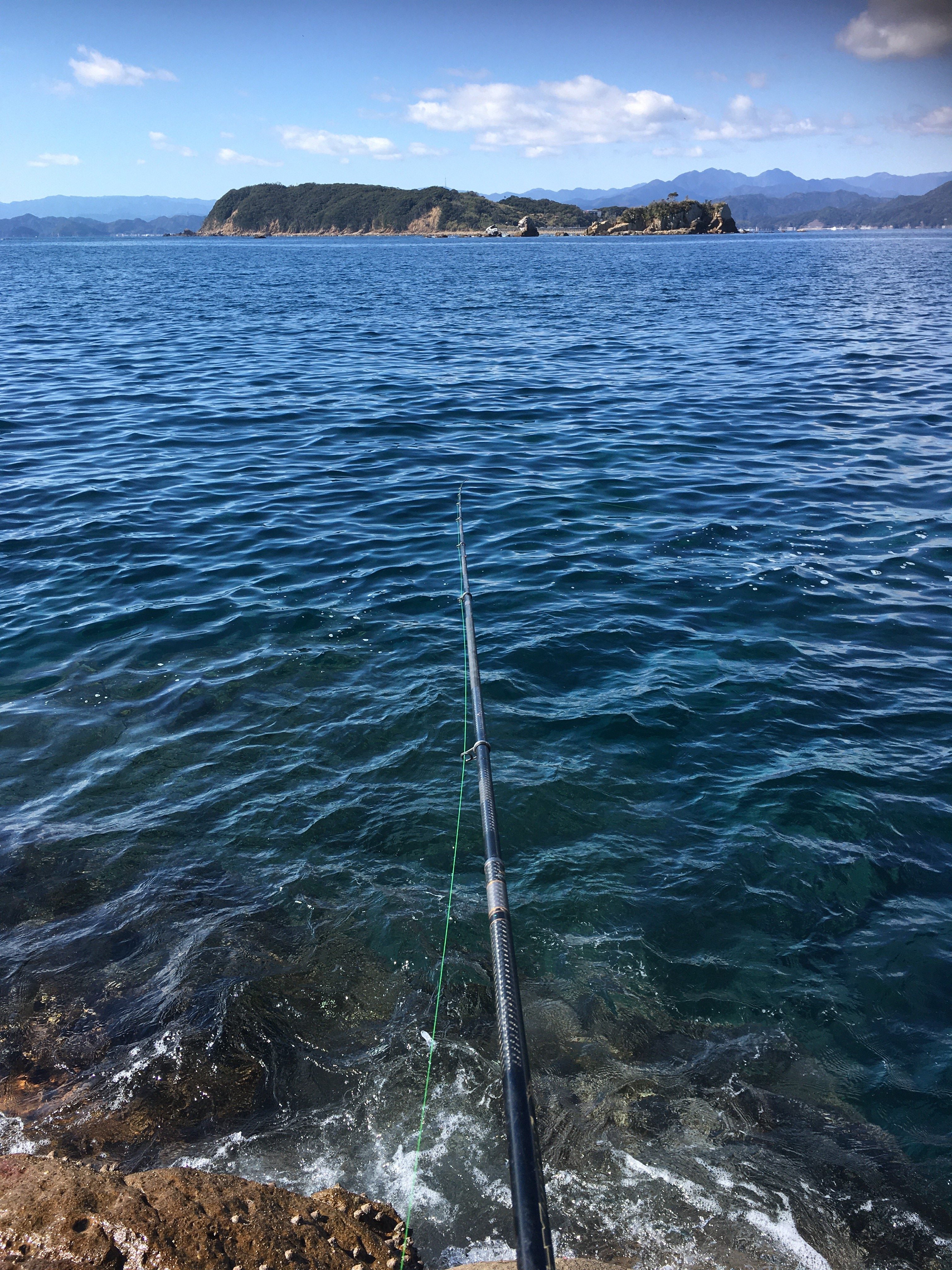 66e091bc2d19932de79e174ad21591