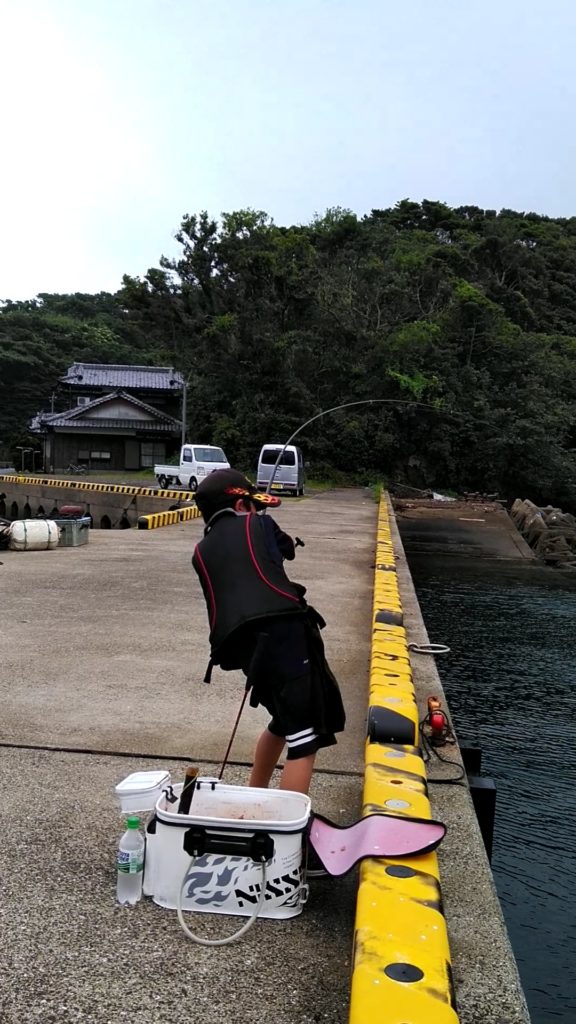 田上湊様のレポート