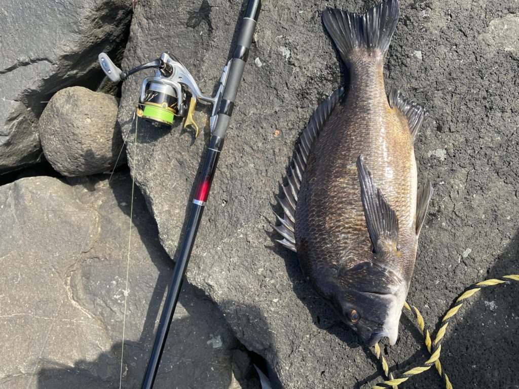 山内延浩様のレポート