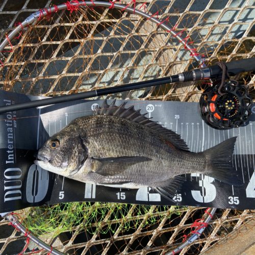 釣りは自由だあー様のレポート