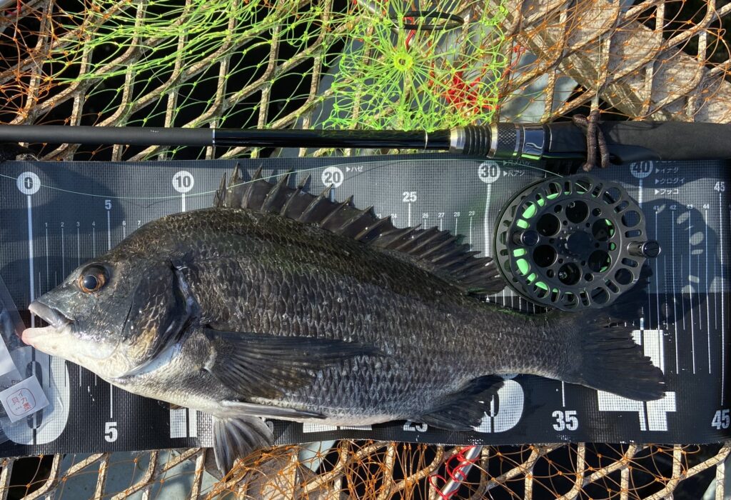 釣りは自由だあー様のレポート