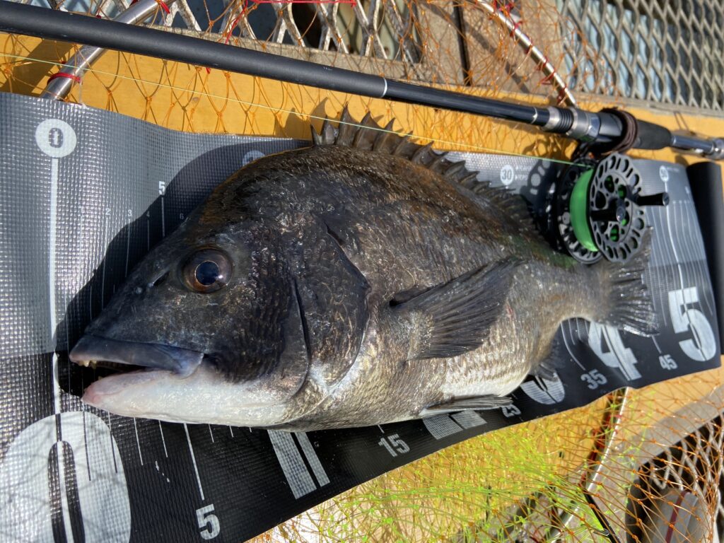 釣りは自由だあー様のレポート