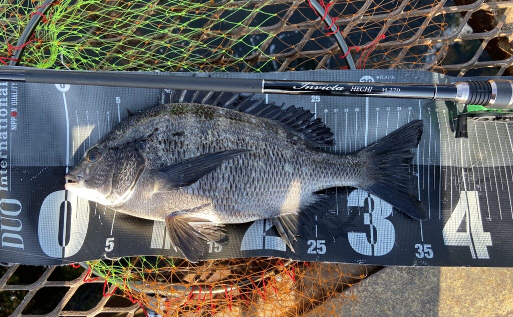 釣りは自由だあー様のレポート