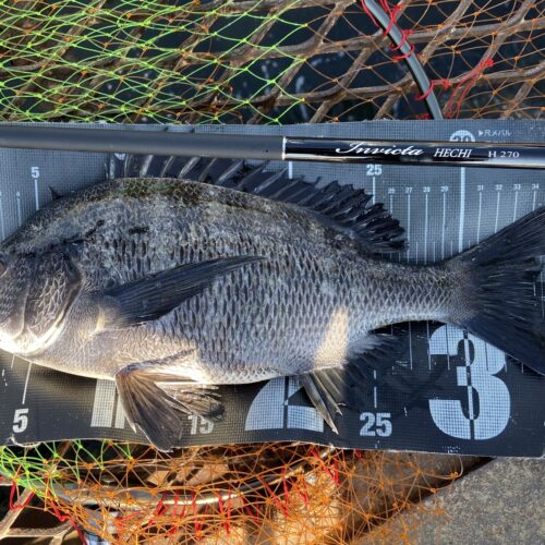 釣りは自由だあー様のレポート