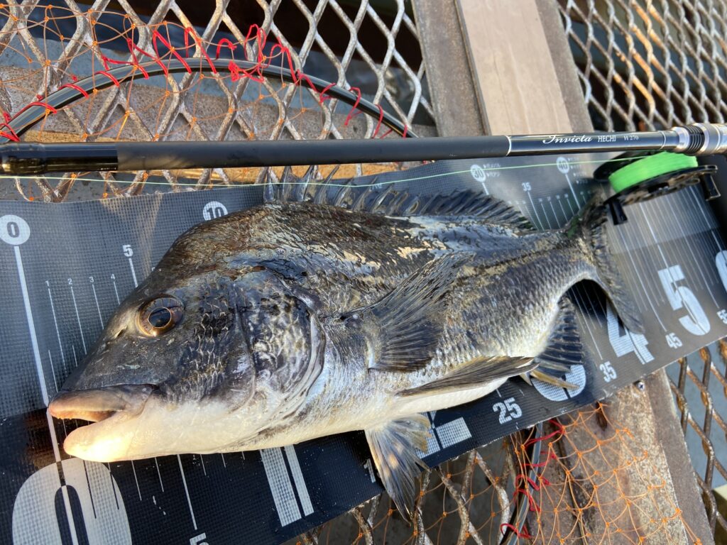 釣りは自由だあー様のレポート