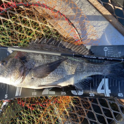 釣りは自由だあー様のレポート