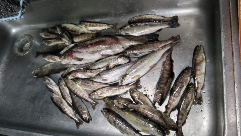 タコ嫁の釣果様のレポート