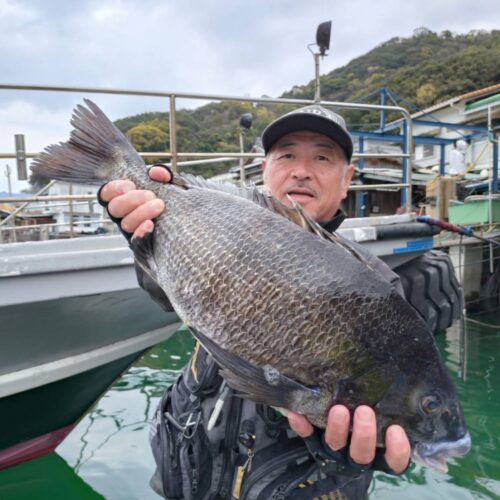 巨チヌ極道様のレポート