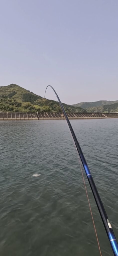 nomsan様のレポート