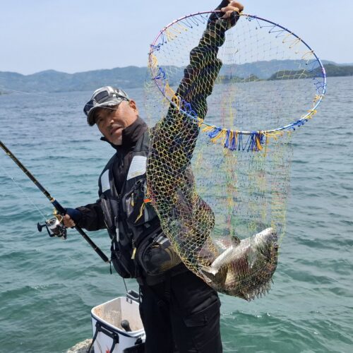 巨チヌ極道様のレポート