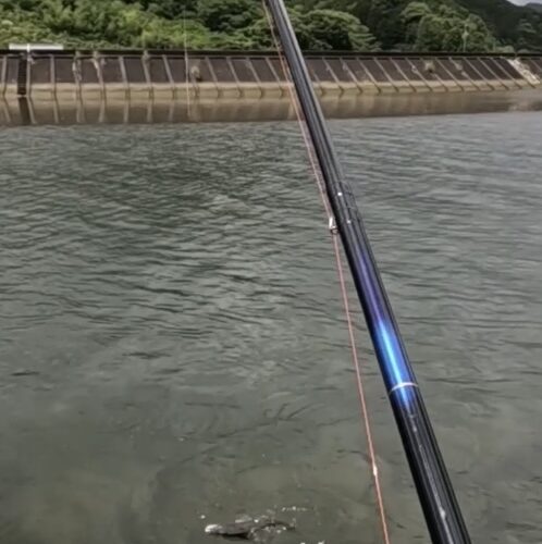 nomsan様のレポート