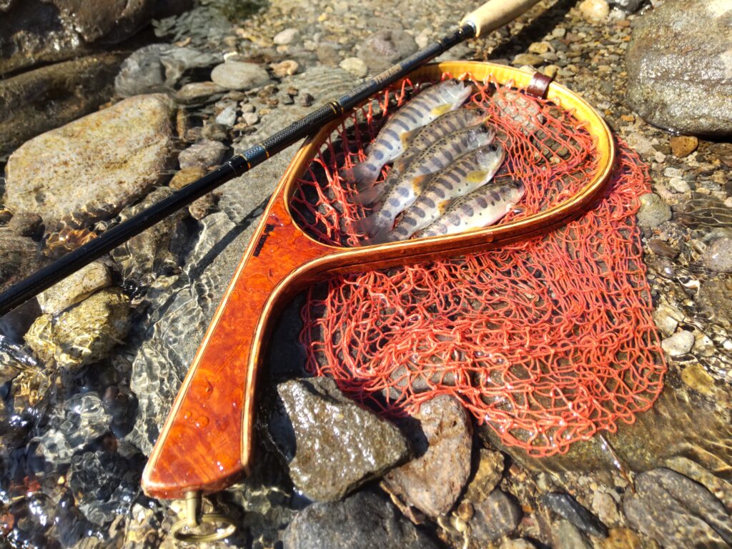 渓s’custom様のレポート