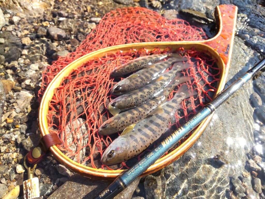 渓s’custom様のレポート