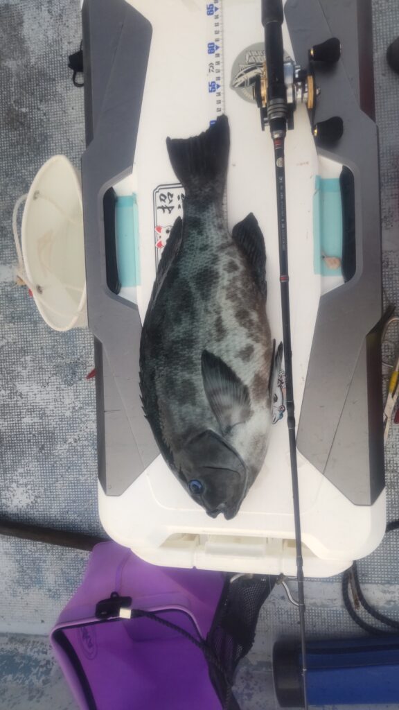 ロペス様のレポート