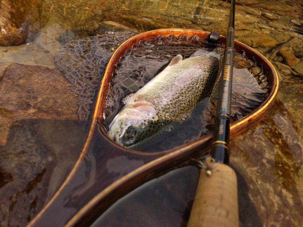 渓s’custom様のレポート