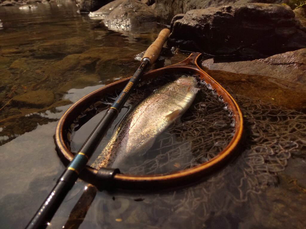 渓s’custom様のレポート