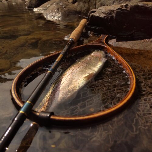 渓s’custom様のレポート