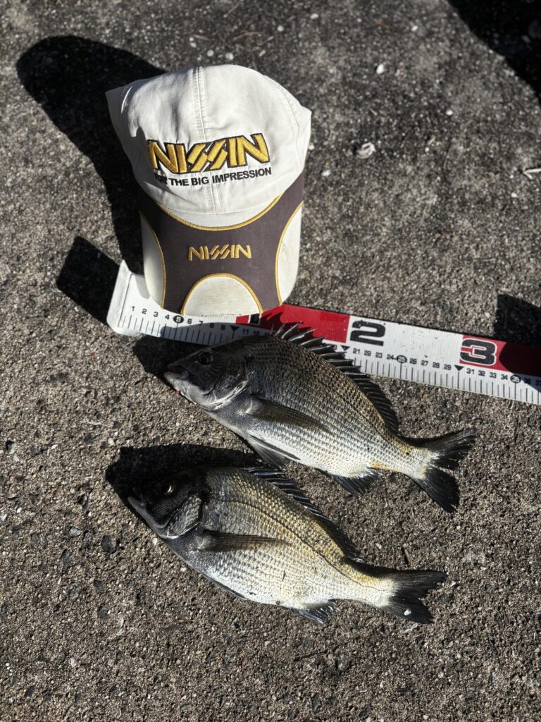 T&A中村輝夫様のレポート