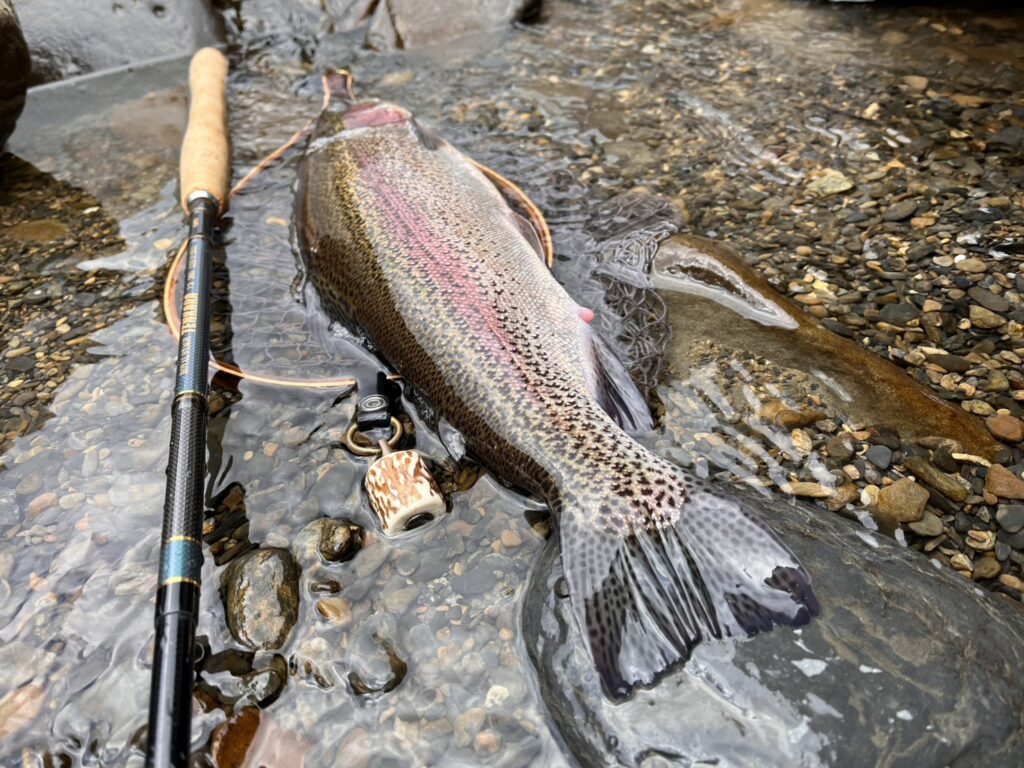 渓s’custom様のレポート