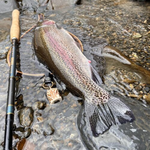 渓s’custom様のレポート