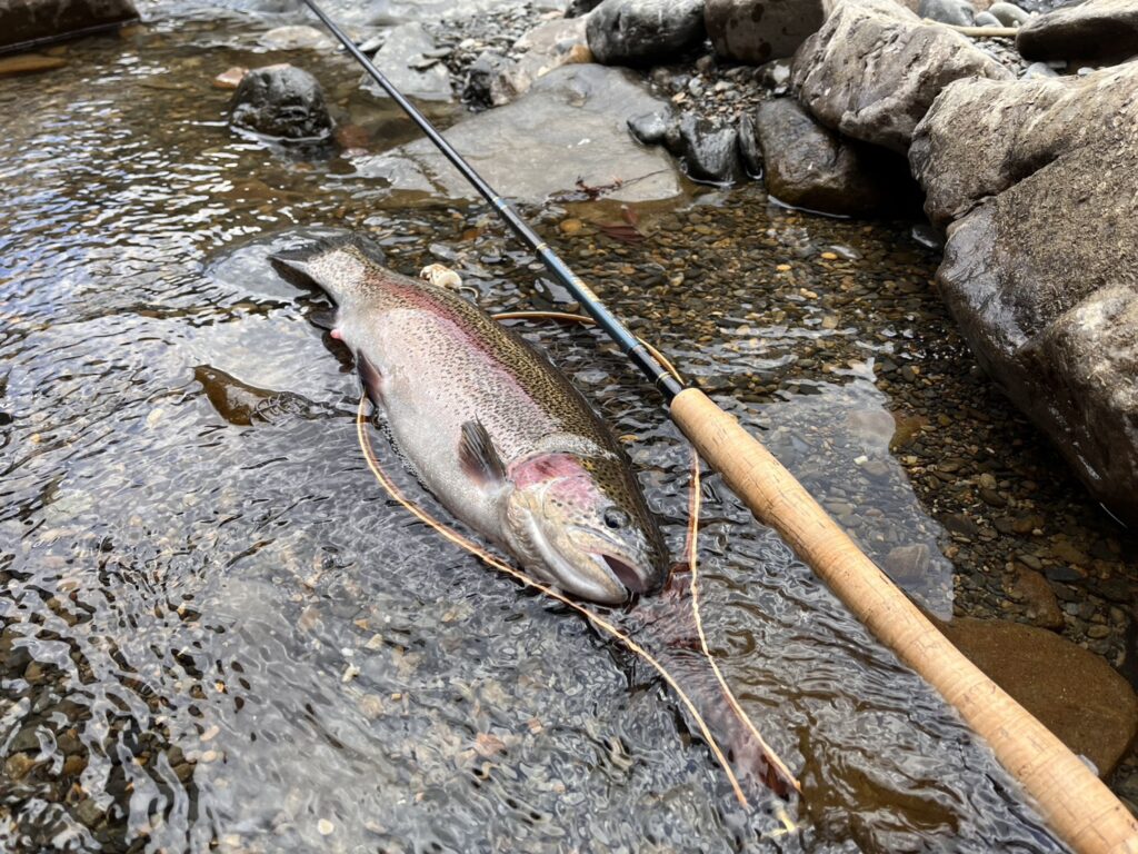 渓s’custom様のレポート