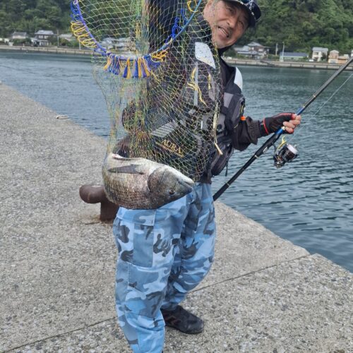 巨チヌ極道様のレポート