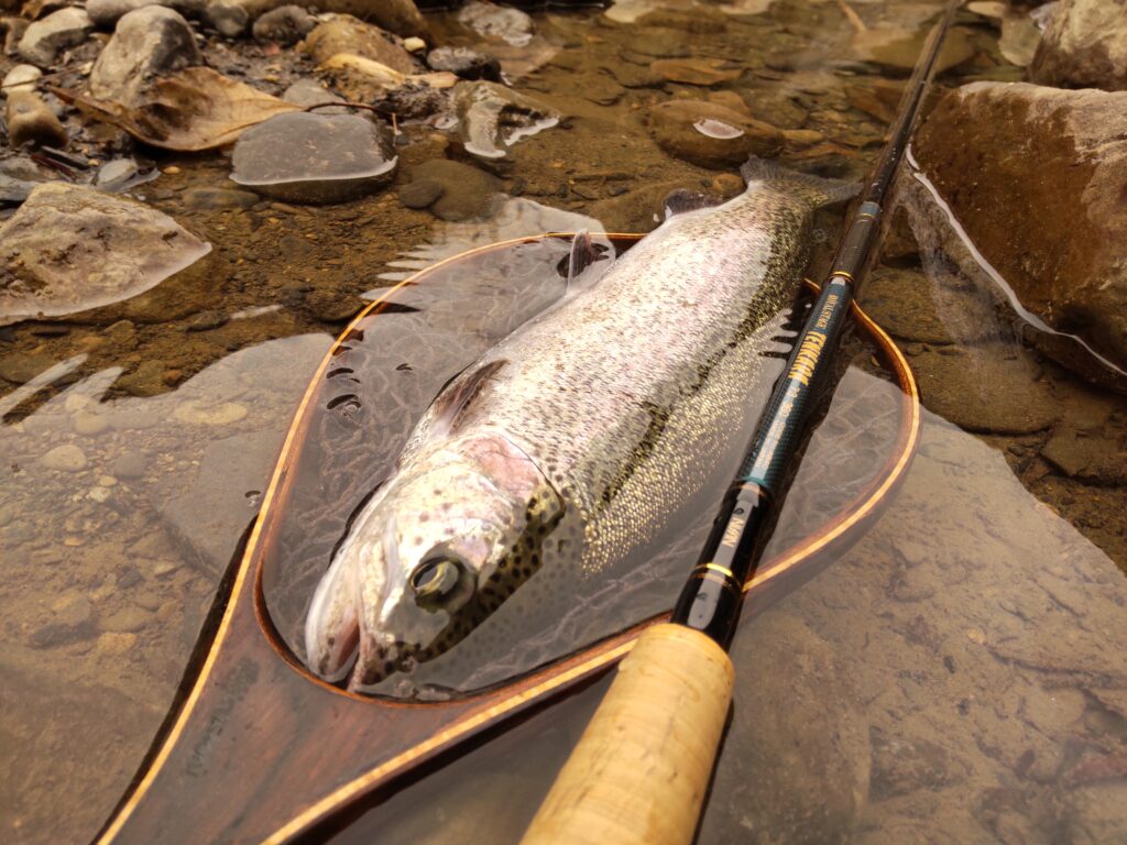 渓s’custom様のレポート