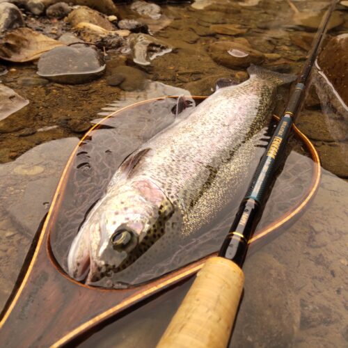 渓s’custom様のレポート