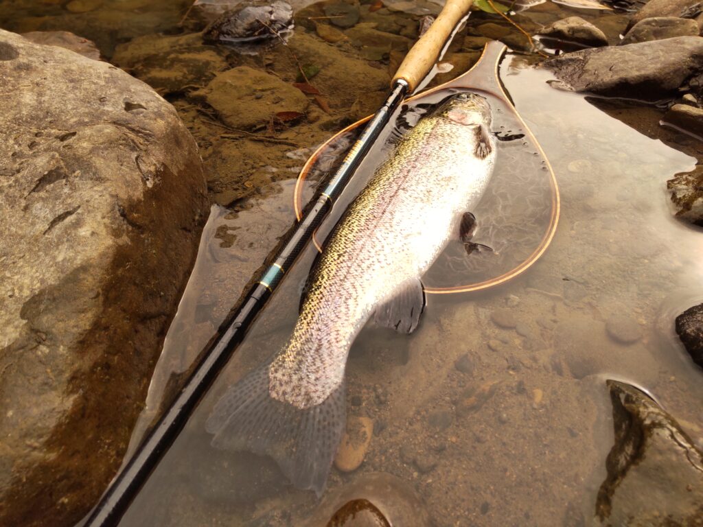 渓s’custom様のレポート