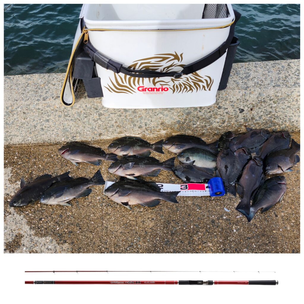 T&A丸井和弘様のレポート