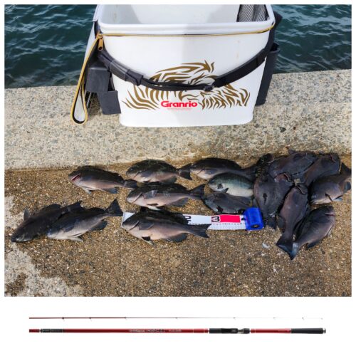 T&A丸井和弘様のレポート