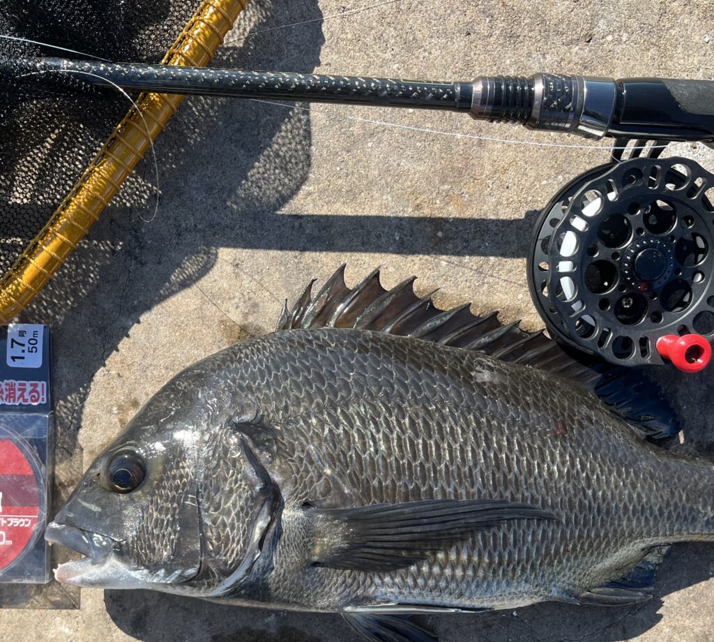 東京湾黒仙人 鳥本智之様のレポート