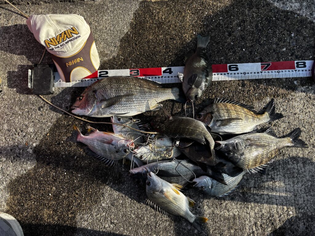 T&A中村輝夫様のレポート