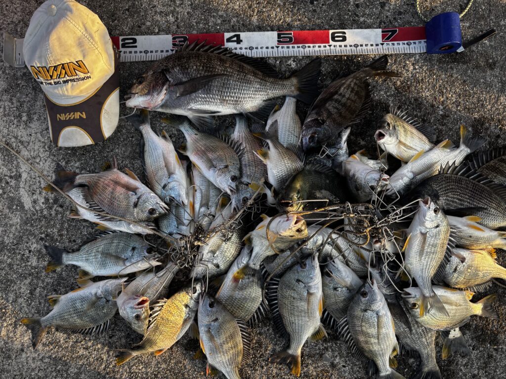 T&A中村輝夫様のレポート