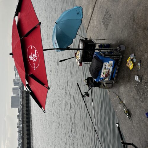 T&A中村輝夫様のレポート