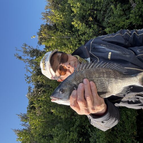 T&A中村輝夫様のレポート